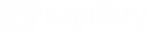 Capillary